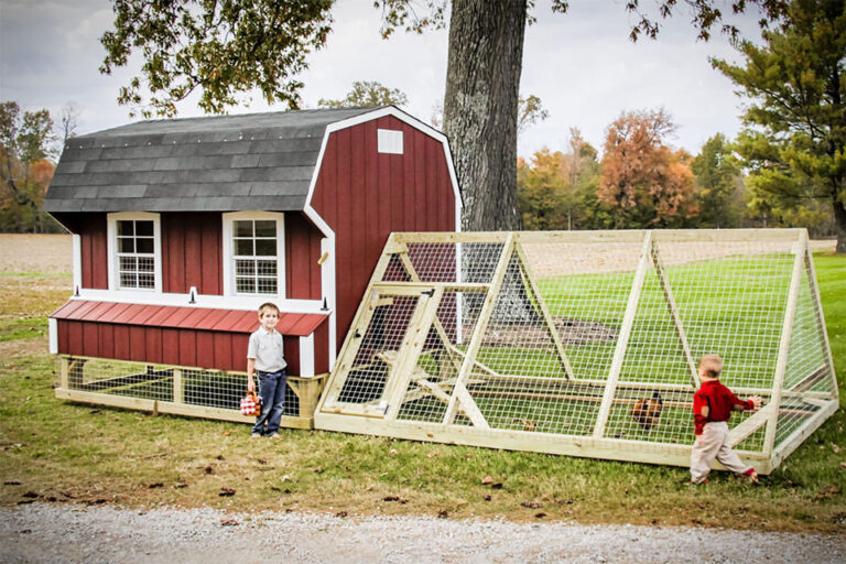 Sheds near Franklin, KY: Animal Shelter: Red chicken coop with white trim, child in front of it.